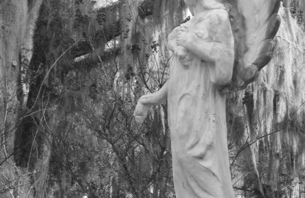 Angel of the Oak, Healing Springs SC by Teri Leigh Teed
