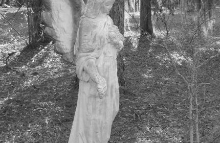 Angel of the Pines, Healing Springs SC by Teri Leigh Teed