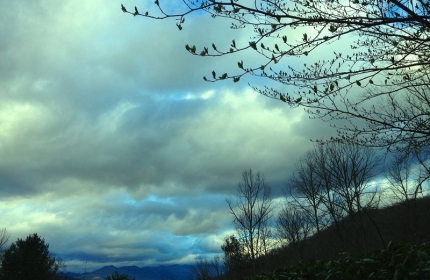 Cloudy Afternoon in the Blue Ridge Mountains, Early Spring by Teri Leigh Teed