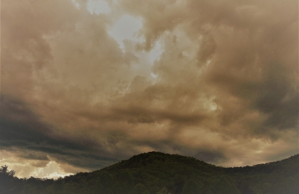 Before the Storm by Teri Leigh Teed