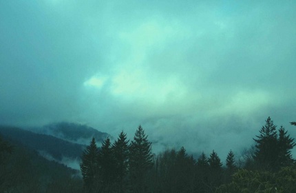 Blue Ridge Parkway, Fog over Waterrock Knob by Teri Leigh Teed