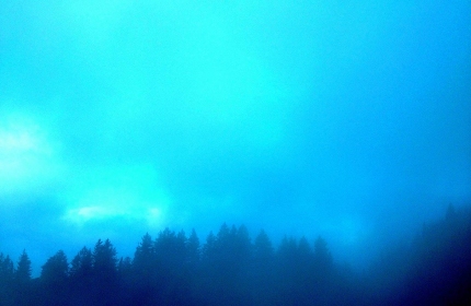 Fog over Woolyback Overlook Christmas-Day by Teri-Leigh-Teed