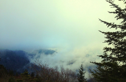Blue Ridge Parkway, Heavenly Fog, Waterrock Knob