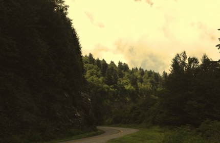 Blue Ridge Parkway Leaving Thunder Struck Ridge by Teri Leigh Teed