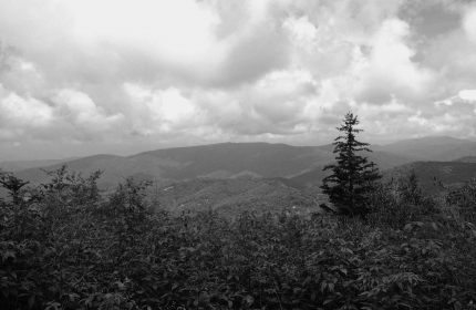 View Cranberry Ridge by Teri Leigh Teed