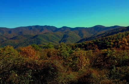 Blue Ridge Parkway View Steestachee Bald by Teri Leigh Teed
