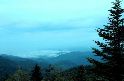 Blue Ridge Parkway View from Waterrock Knob by Teri Leigh Teed