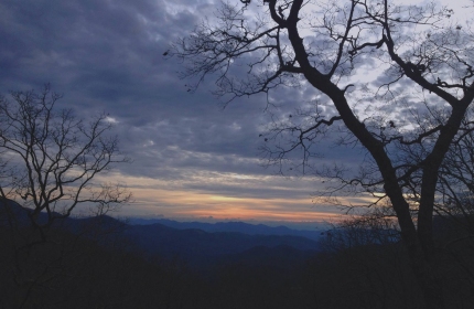 Blue Ridge Parkway, Woodfin Valley by Teri Leigh Teed