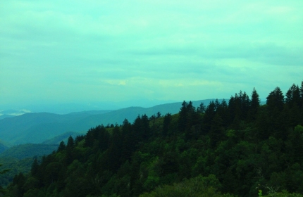 Blue Ridge Parkway Wooly Back Overlook by Teri Leigh Teed