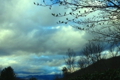 Cloudy Afternoon in the Blue Ridge Mountains, Early Spring by Teri Leigh Teed
