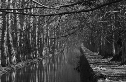 Canal Walk, Chenonceau by Teri Leigh Teed