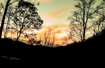 Toile Sunset by Teri Leigh Teed