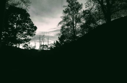 Appalachian Silhouettes by Teri Leigh Teed