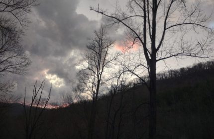 Mountain Cat Clouds in Winter by Teri Leigh Teed