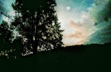 Azure Dreams by Teri Leigh Teed