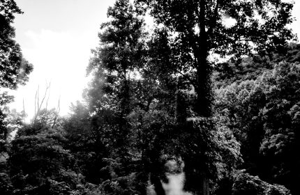 Hidden in Plain Sight by Teri Leigh Teed