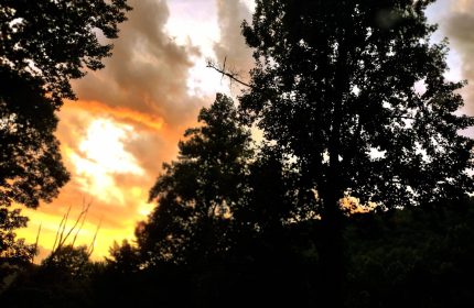 Eagle's Landing by Teri Leigh Teed