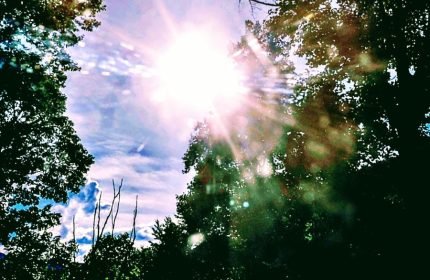 Iris of the Cosmos by Teri Leigh Teed