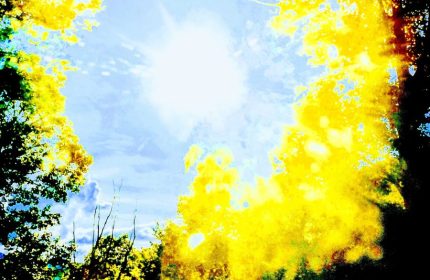 Cosmic Vision by Teri Leigh Teed