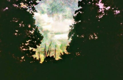 Angelic Visit by Teri Leigh Teed