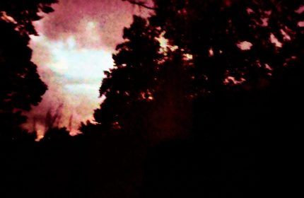 Visit of the Christ Consciousness by Teri Leigh Teed