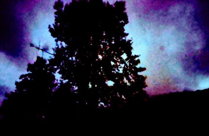 Violet Flame by Teri Leigh Teed