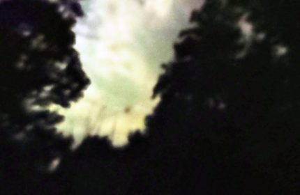 Angelica by Teri Leigh Teed