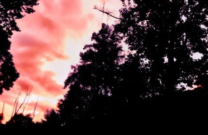 Archangel Chamuel's Rose Pink Sunset by Teri Leigh Teed