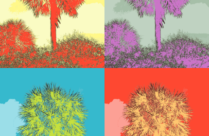 Palmetto Dreams by Teri Leigh Teed