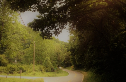 Summer Afternoon Drive, Greens Creek by Teri Leigh Teed