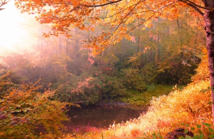 Morning Light, Spring Pond at Autumn Equinox by Teri Leigh Teed