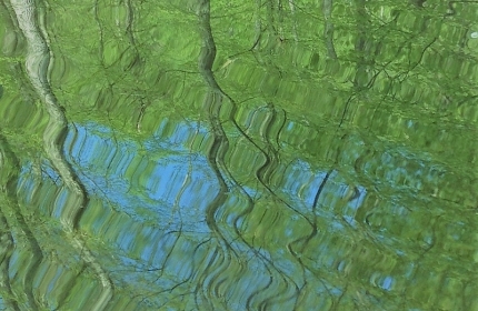 Greening Up by Teri Leigh Teed