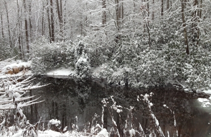 Spring Pond in Winter Snow by Teri Leigh Teed