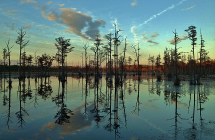 November Reflections, Goodale State Park by Teri Leigh Teed