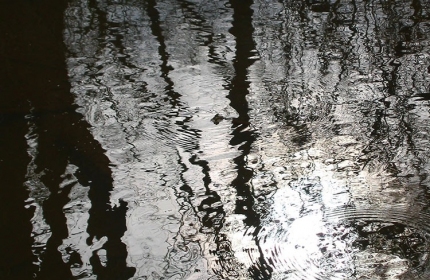 Reflections in Stream near Old Quarry, Fairfield County SC by Teri Leigh Teed 2006