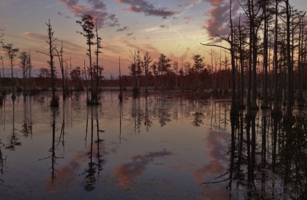 Water Color Sunset, Goodale State Park by Teri Leigh Teed