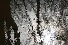 Reflections in Stream near Old Quarry, Fairfield County SC by Teri Leigh Teed 2006