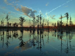 Teri Leigh Teed, Healing Spirit Art, #HealingSpiritArt, brand, fine art photography, inspiring, water, Nature, autumn, November, reflections, Goodale State Park, South Carolina photographs, sunset, clouds, trees, mill pond, #womenartists, #artheals