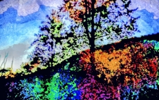 Colors of Spring, Eleanor’s Dream series by Teri Leigh Teed Healing Spirit Art © Collection