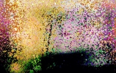 Pink Himalayan Chai Dreams, Eleanor's Dream series, by Teri Leigh Teed Healing Spirit Art© Collection