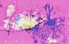 Visions of Happiness, Eleanor's Dream series by Teri Leigh Teed Healing Spirit Art© Collection