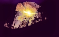 World Visions, Light of the Knights Templar, Eleanor’s Dream series by Teri Leigh Teed Healing Spirit Art© Collection