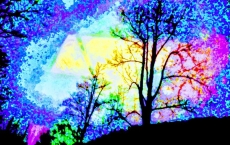 Many Splendors of Love, Eleanor's Dream series by Teri Leigh Teed Healing Spirit Art© Collection