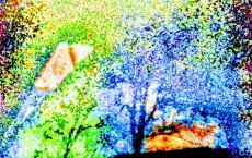The Tree of Peace, Eleanor’s Dream series by Teri Leigh Teed Healing Spirit Art© Collection