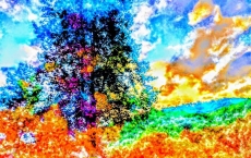 Angels of Orange, Eleanor's Dream series by Teri Leigh Teed Healing Spirit Art© Collection